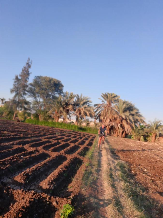Village Room In The Countryside Al-Minya Exterior foto